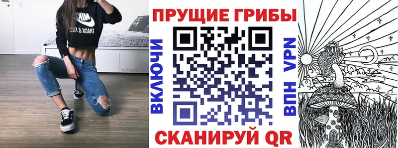 Псилоцибиновые грибы Psilocybine cubensis  Рыбное 